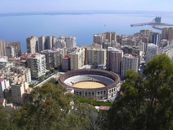 Malaguetor Colon * Màlaga